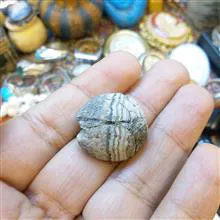 مهره