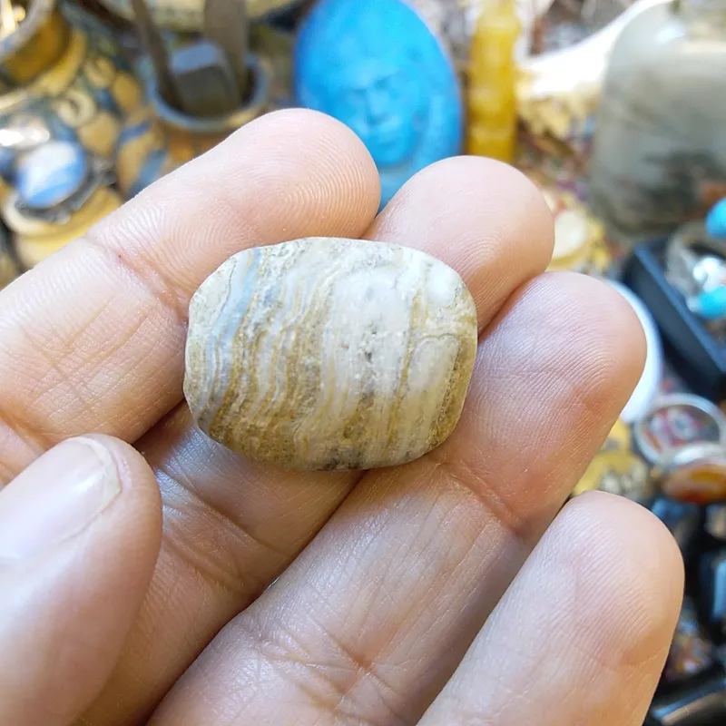 مهره کهنه داوودی
