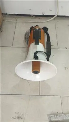 مگافون