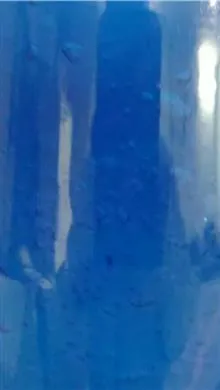 یخ