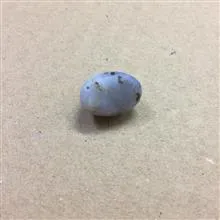عقیق