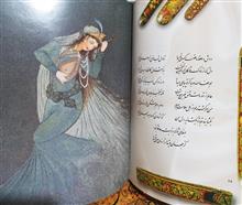 گزیده
