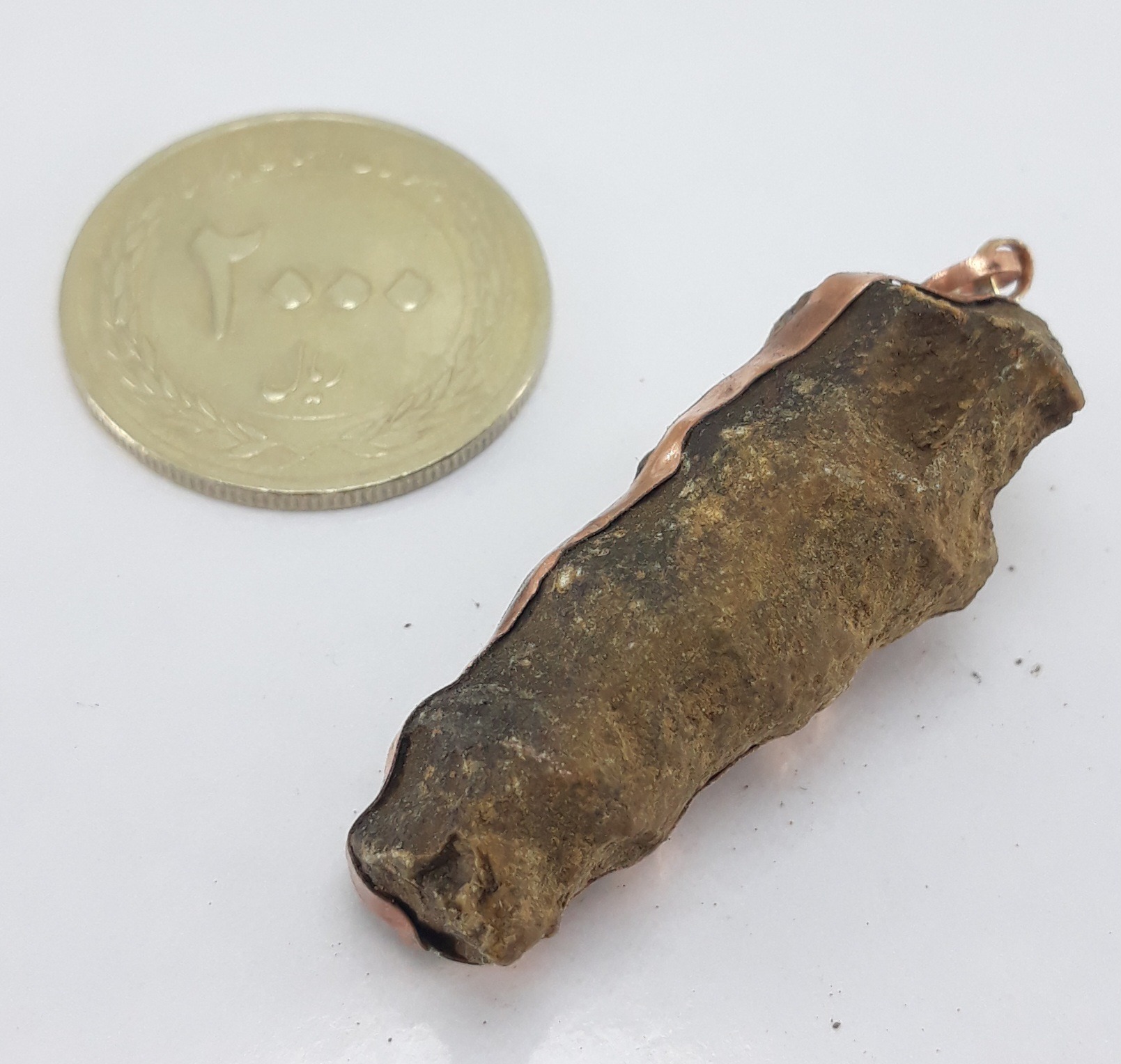 مهره عرج سواحل بحری معدنی