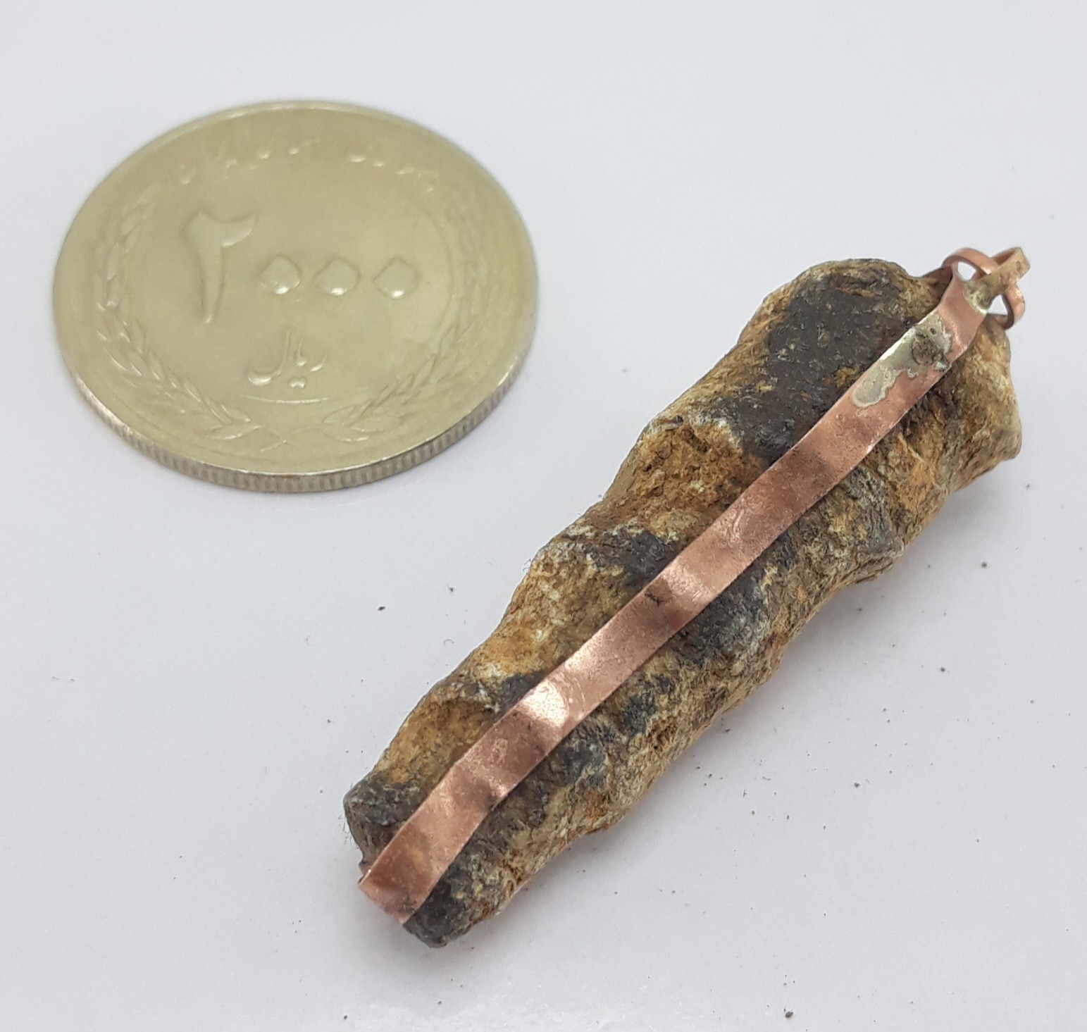 مهره عرج سواحل بحری طبیعی