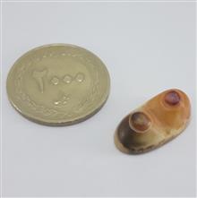 نگین