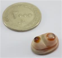 نگین