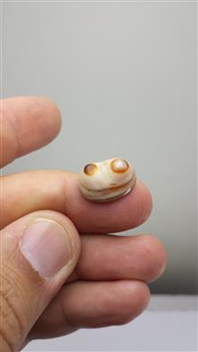 نگین