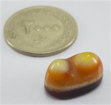باباقوری