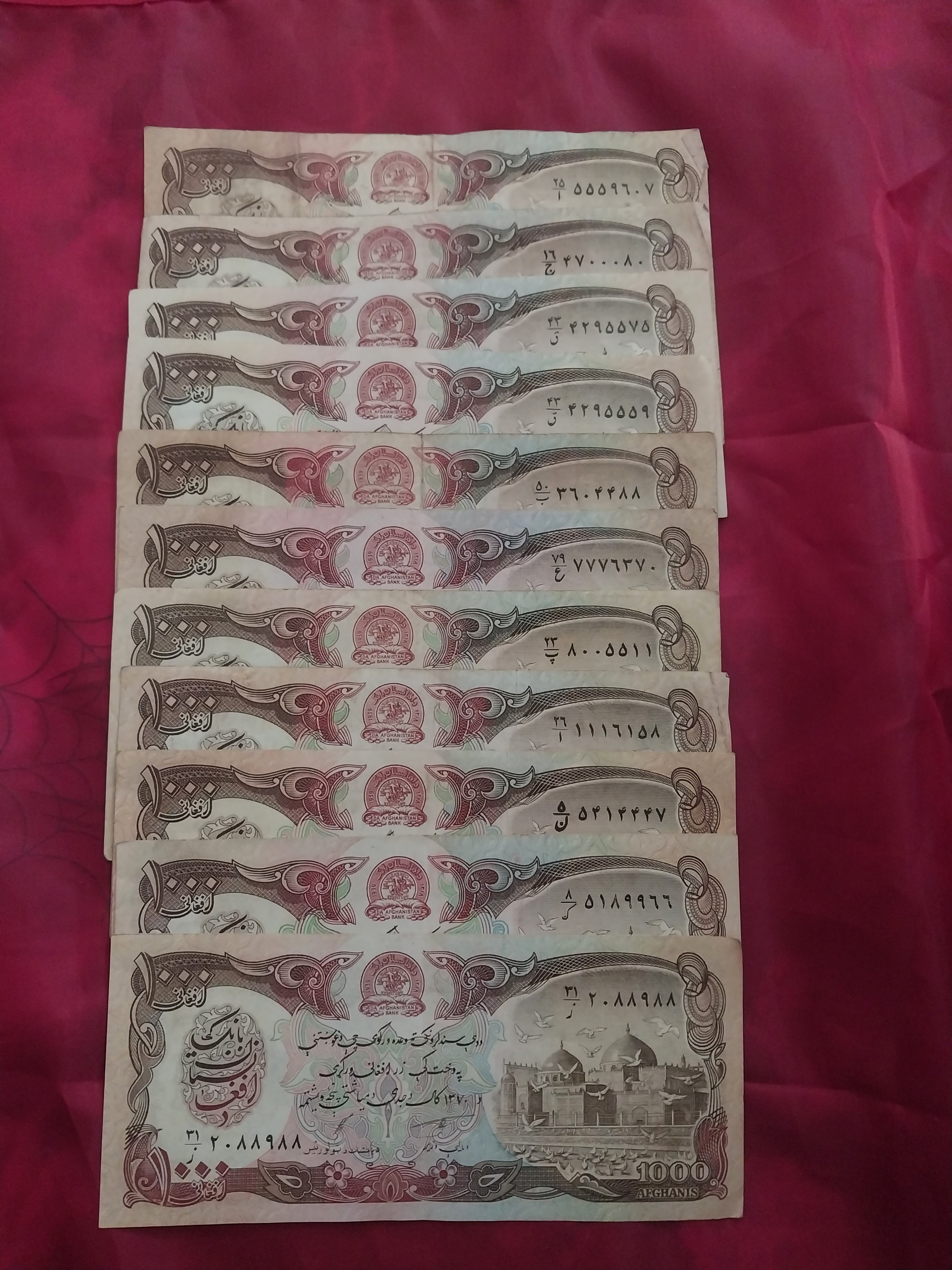 11برگ شماره قشنگ افغانستان