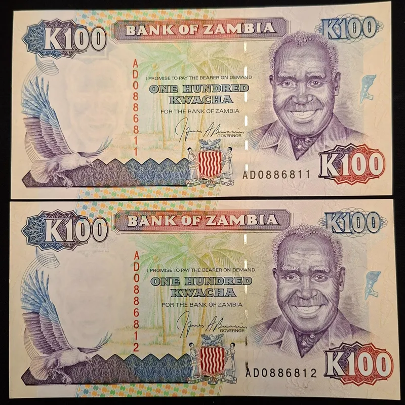 جفت اسکناس نادربانکی 100 کواچا زامبیا