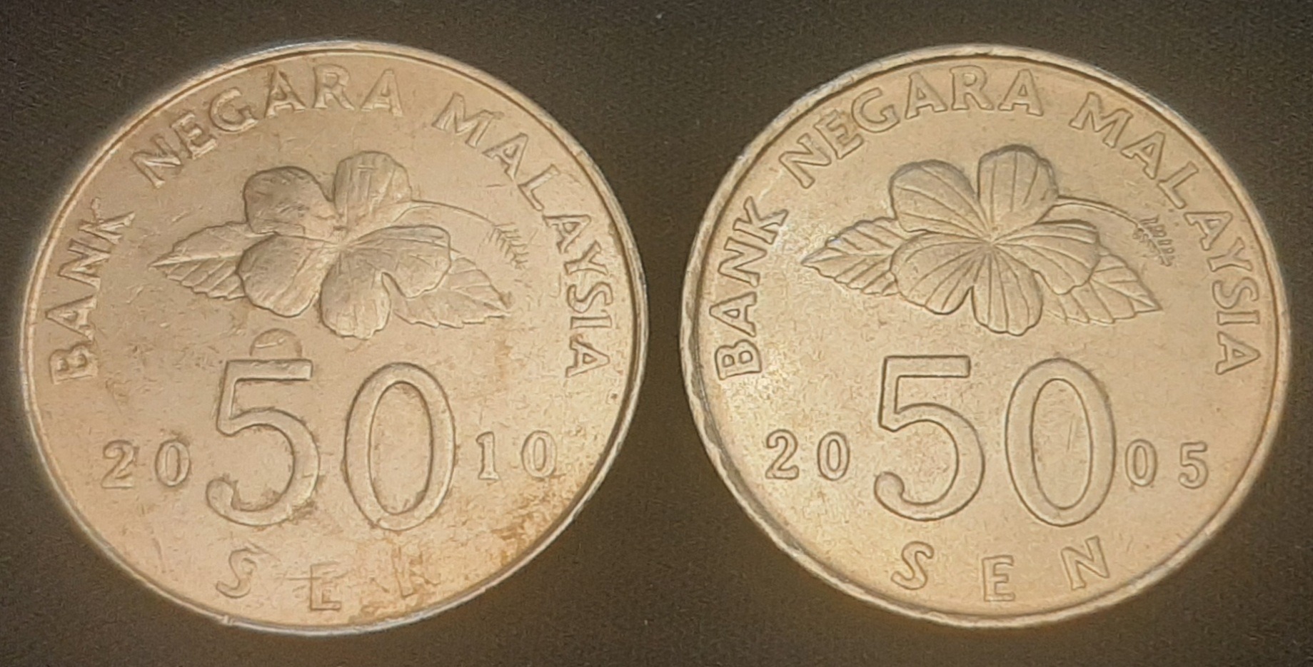 دو عدد سکه 50 سن مالزی (2005و 2010 میلادی)