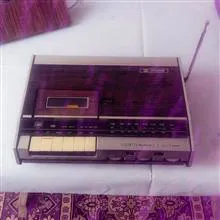 ضبط