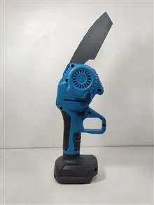 بدنه