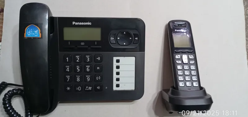 پاناسونیک دو گوشی مدلF110