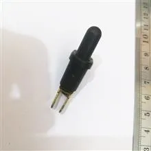 شاسی