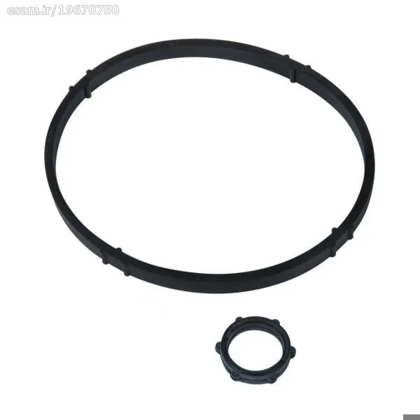 کاسه نمد فیلتر و اورینگ نگهدارنده فیلتر 206 تیپ دو