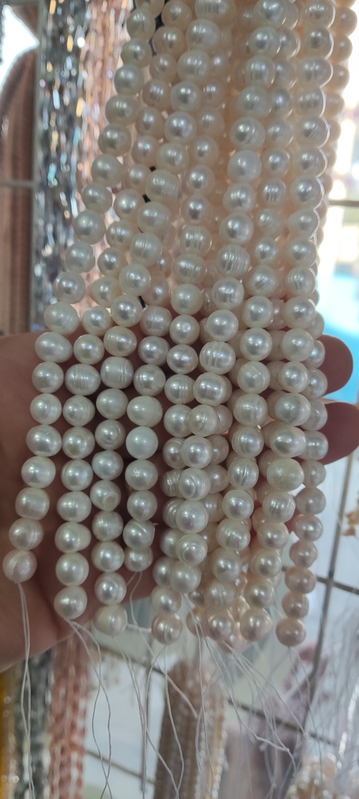 مروارید پرورشی اصل
