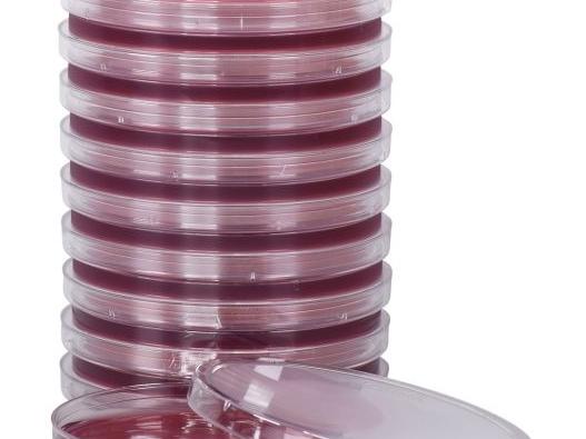 محیط کشت آماده مکانکی آگار(MCA) مرک پلیت 8 سانتی