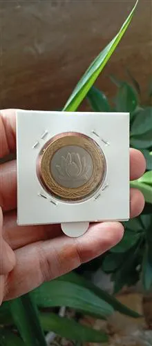 سکه