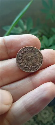 سکه