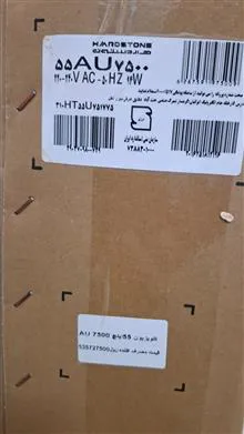 تلویزیون