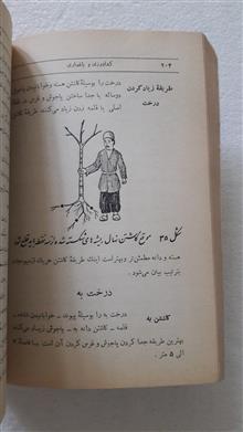 روش