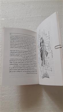 تکثیر
