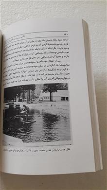 تکثیر
