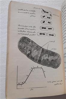 میکرو