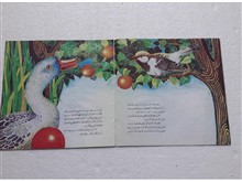 ماجرای