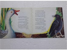 ماجرای