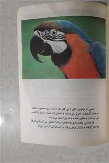 انقلاب