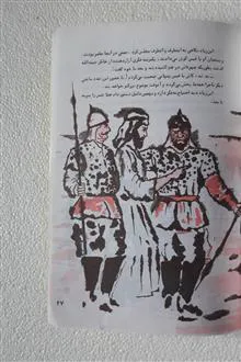 قیس