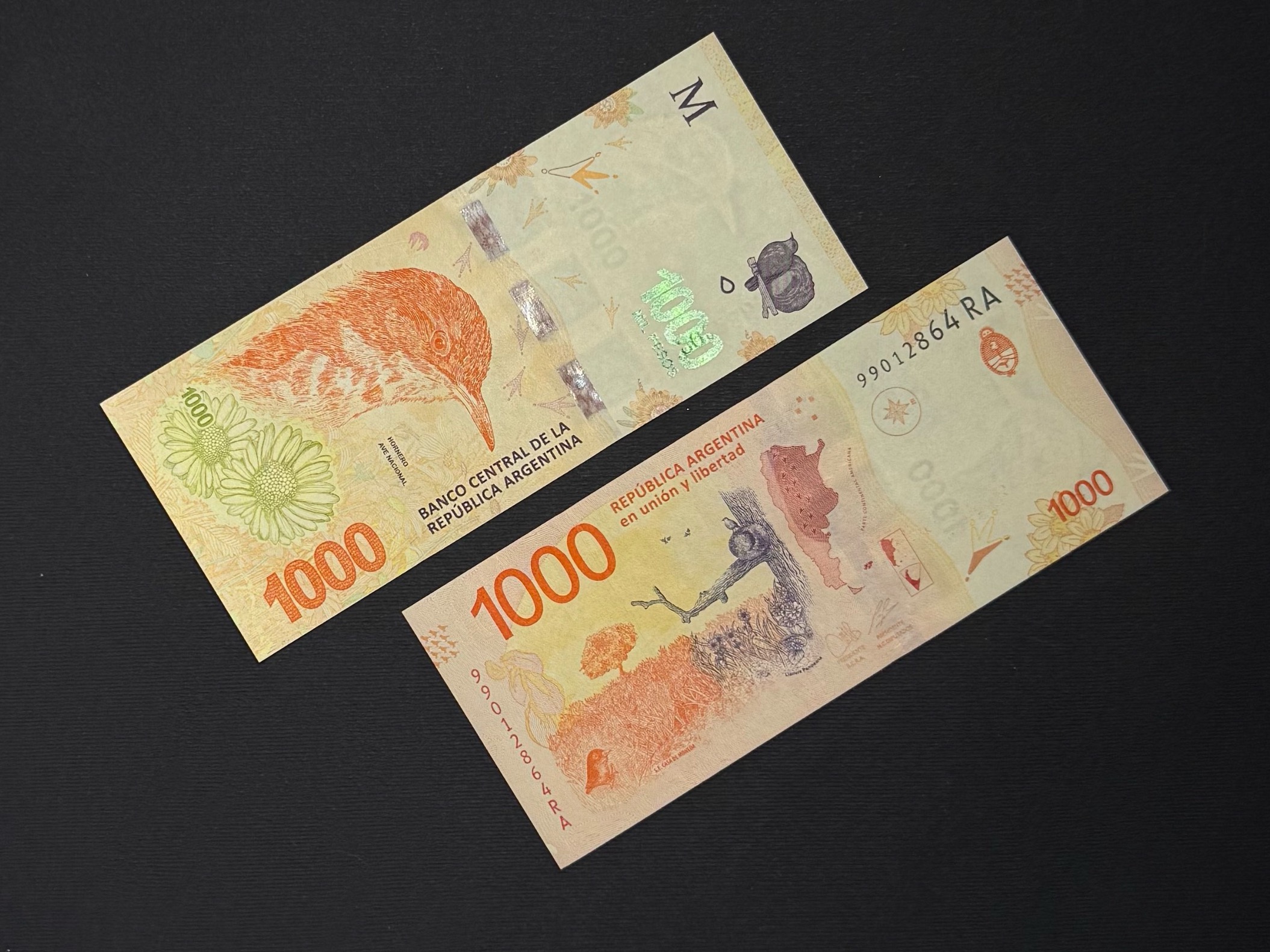 اسکناس زیبا 1000 پزو آرژانتین