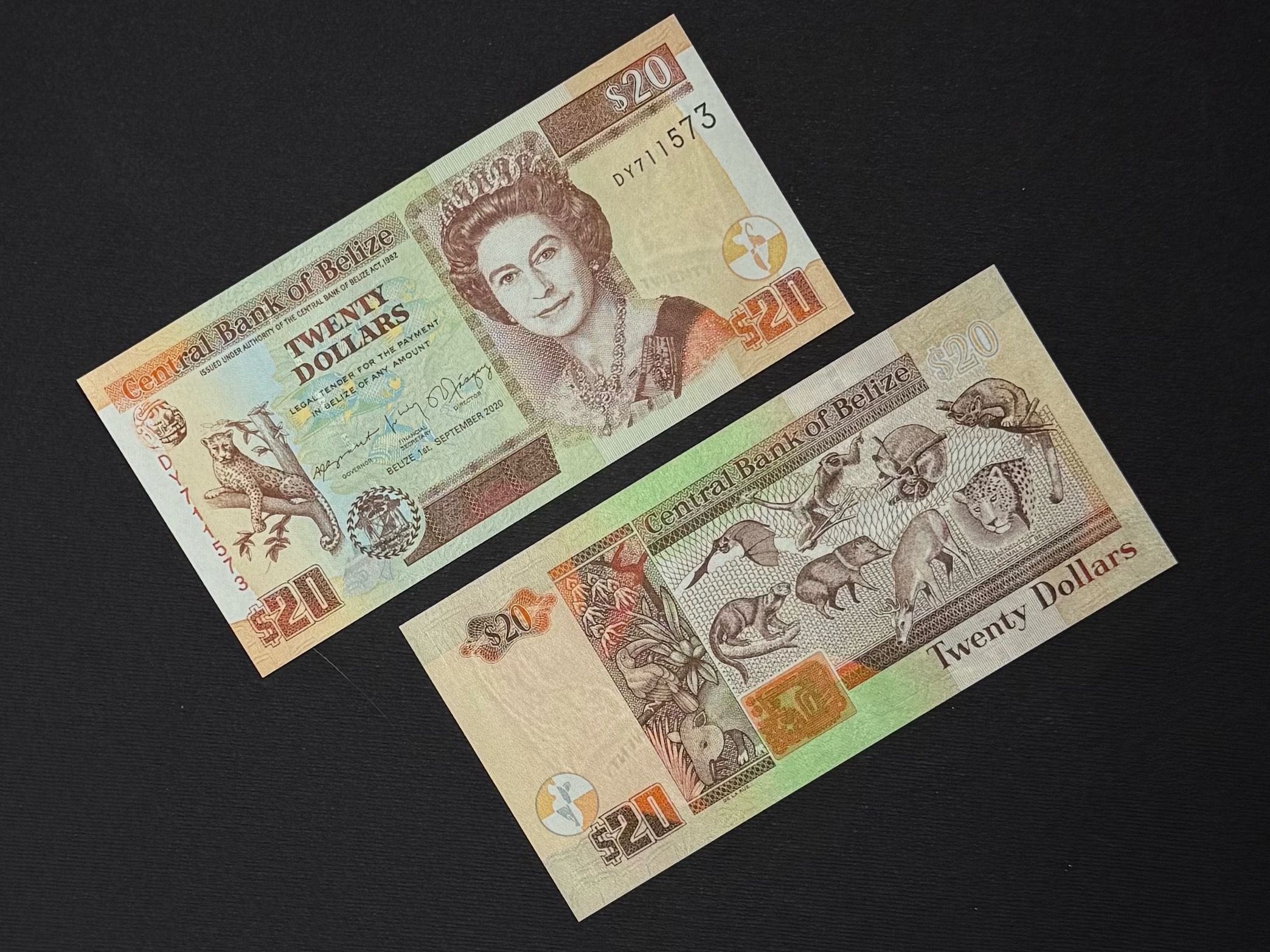 اسکناس زیبا و کلکسیونی 20 دلار بلیز