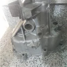 پوسته
