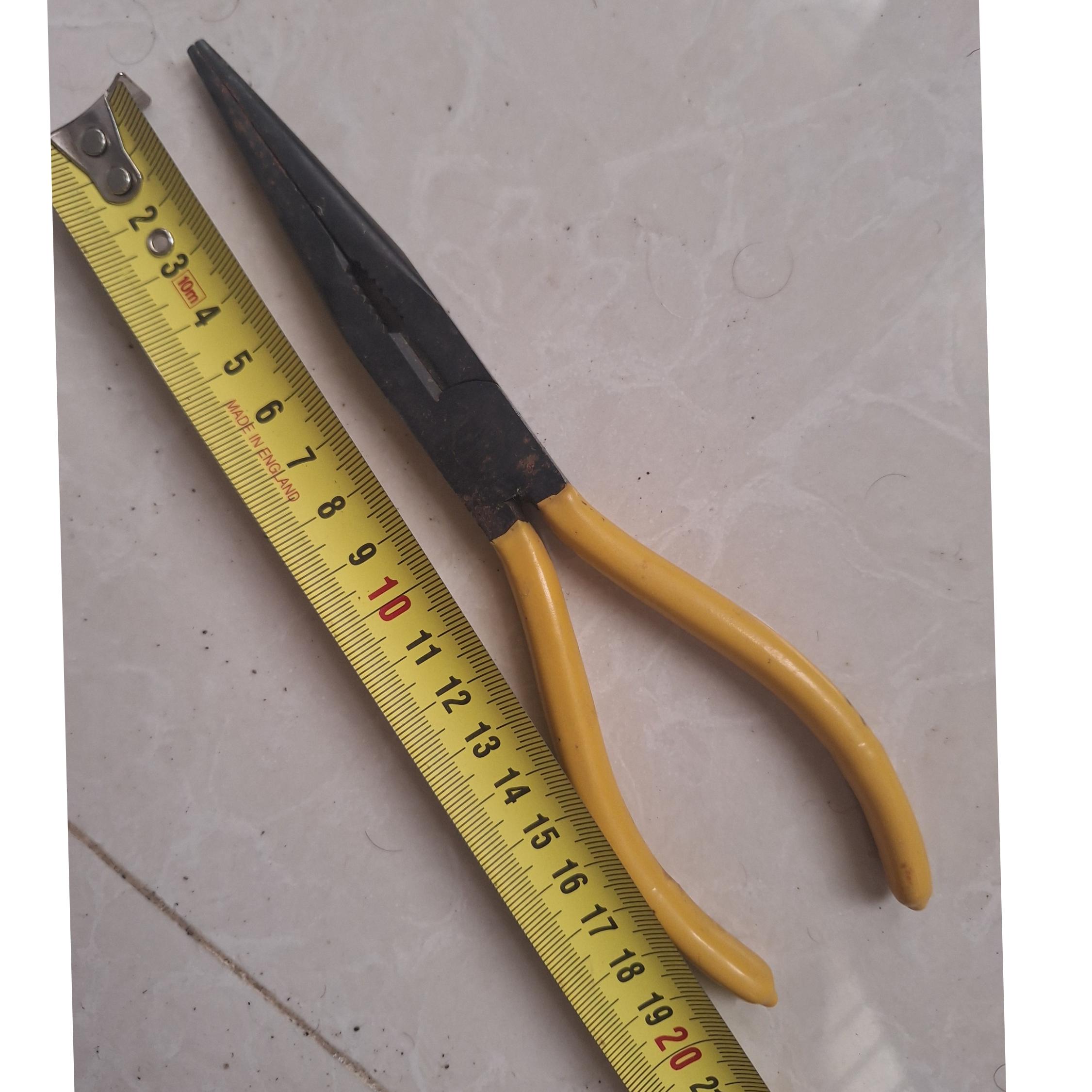 دمباریک یونیور بزرگ اصلی