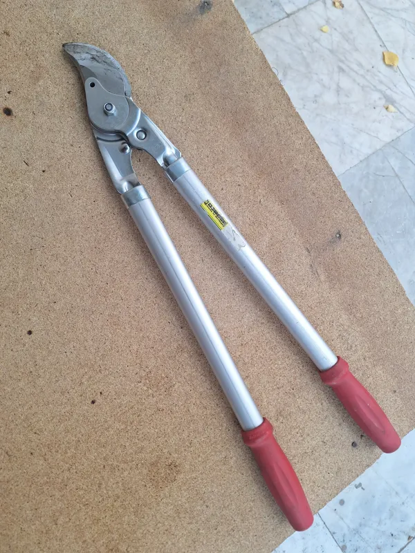 قیچی شاخه زنی آلمانی BERGER