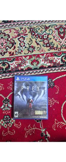 Prey