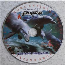 مستند