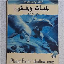 مستند