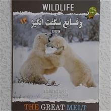 مستند