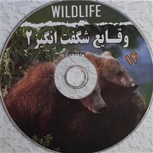 مستند
