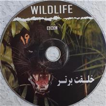 مستند