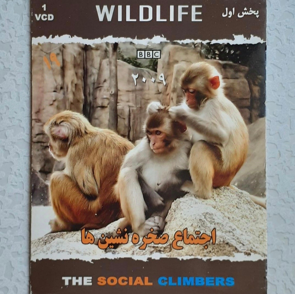 مستند حیات وحش 19 ( اجتماع صخره نشین ها )
