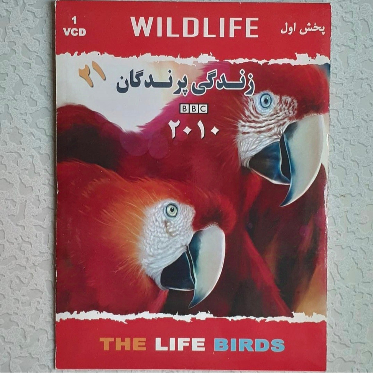 مستند حیات وحش 21 ( زندگی پرندگان )