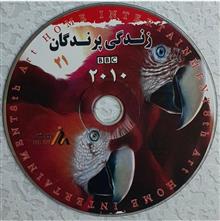 مستند