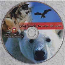 مستند