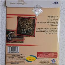 مستند