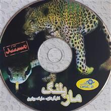 مستند